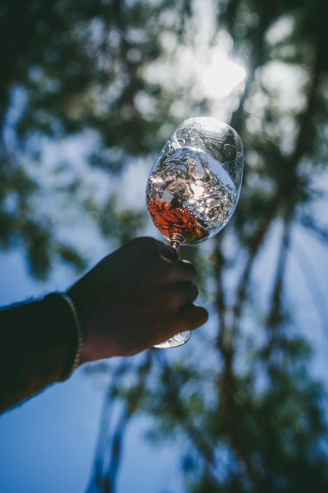 Textura Wines vineyard